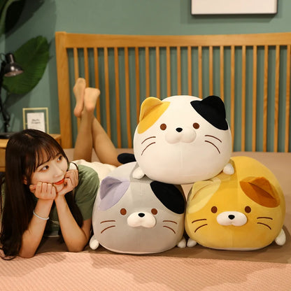 Soft Cat Plush – Stuffed Cartoon Animal Pillow Cushion, Cute Decorative Gift for Special Occasion