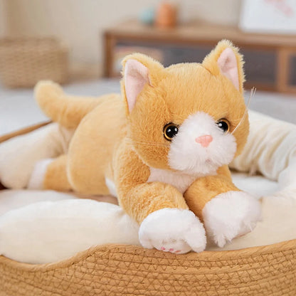 Cute Cat Plush – Soft Stuffed Cartoon Animal Pillow, Adorable Decorative Gift for Birthdays or Special Occasion
