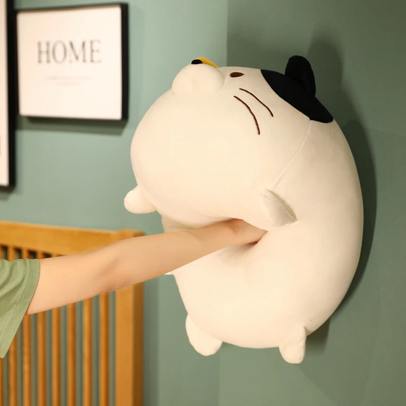 Soft Cat Plush – Stuffed Cartoon Animal Pillow Cushion, Cute Decorative Gift for Special Occasion